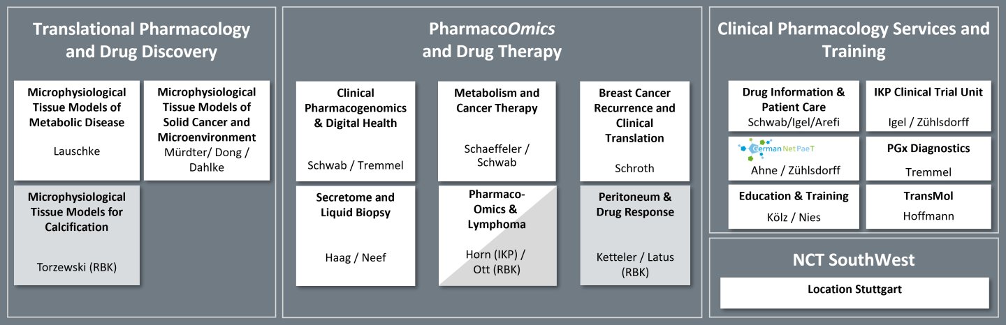 Research Groups-.png